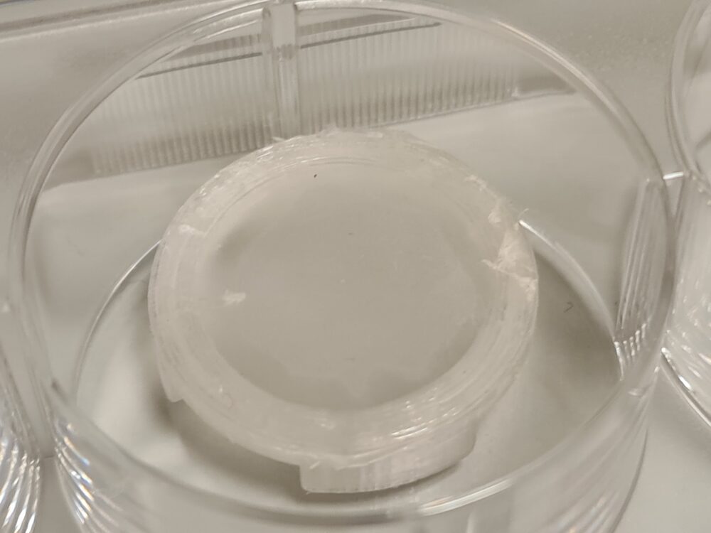 FibrePlate Inserts – Science Engineered Ltd.