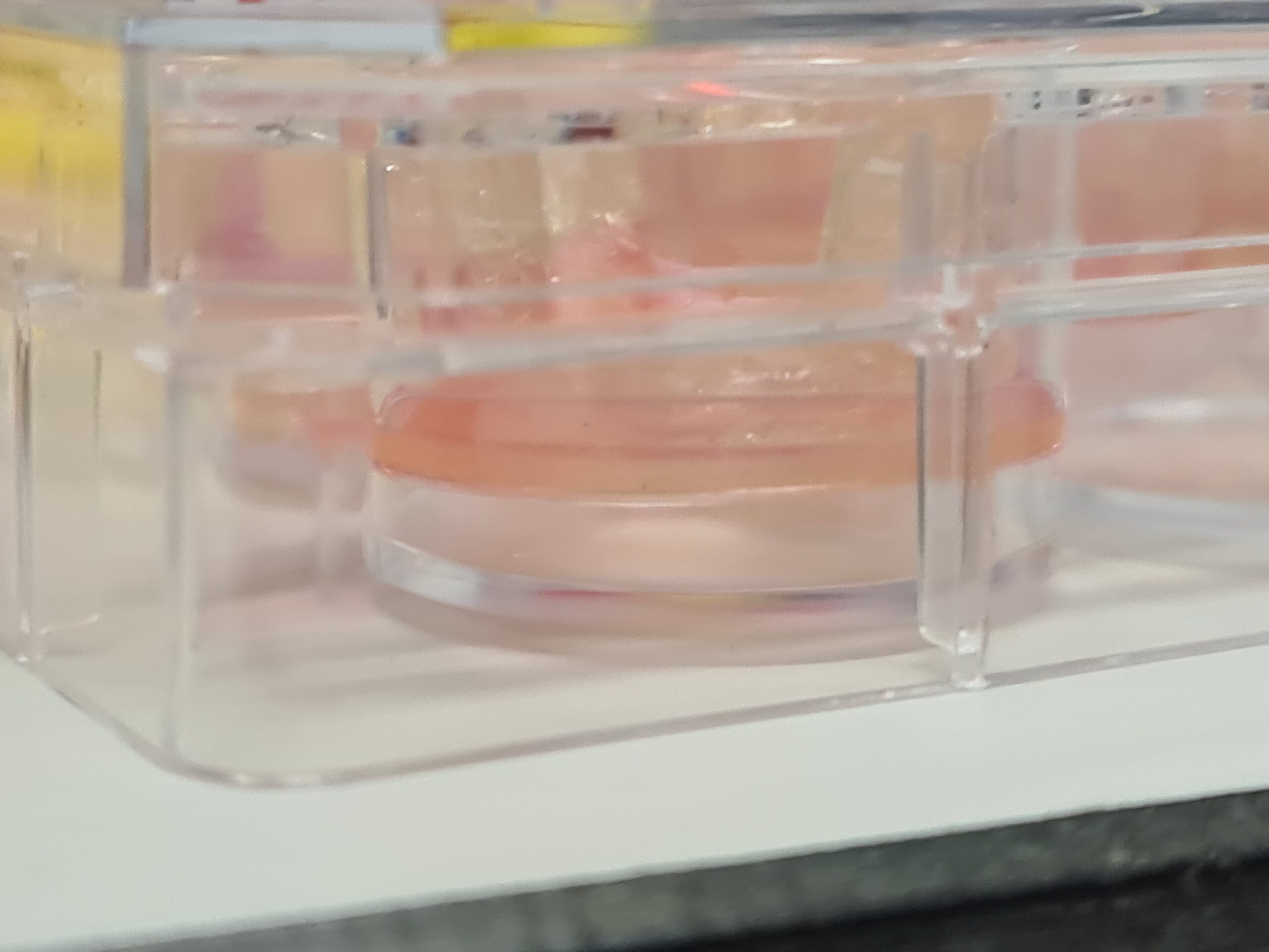 BioTension Inserts – Science Engineered Ltd.