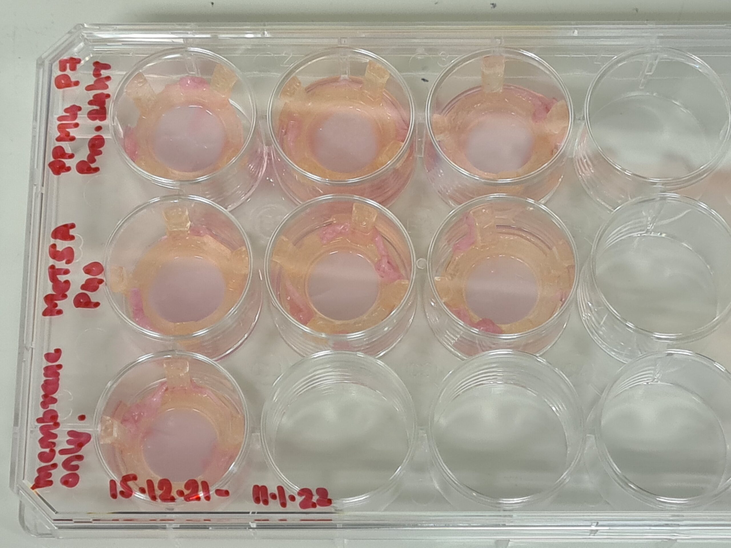 BioTension Inserts – Science Engineered Ltd.